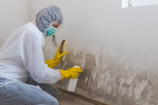 Best Forensic Mold Investigation  in Drexel, NC