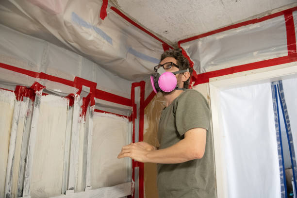 Trusted Drexel, NC Mold Inspection, Removal & Remediation Experts